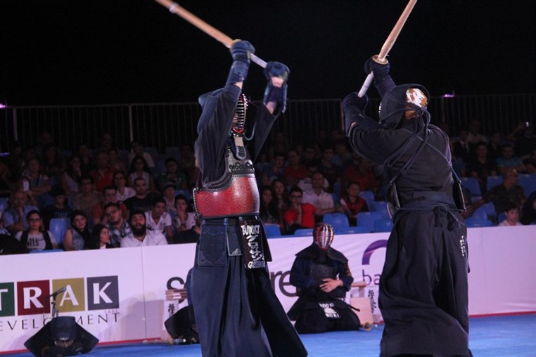 Martial Arts Festival